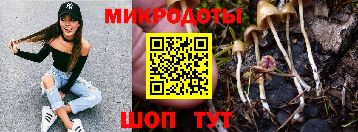 Псилоцибиновые грибы Psilocybine cubensis  Вход с VPN  Псилоцибиновые грибы прущие грибы  Десногорск 